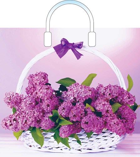 пакет петл.36х40 Уилсон пласт.руч. ШК