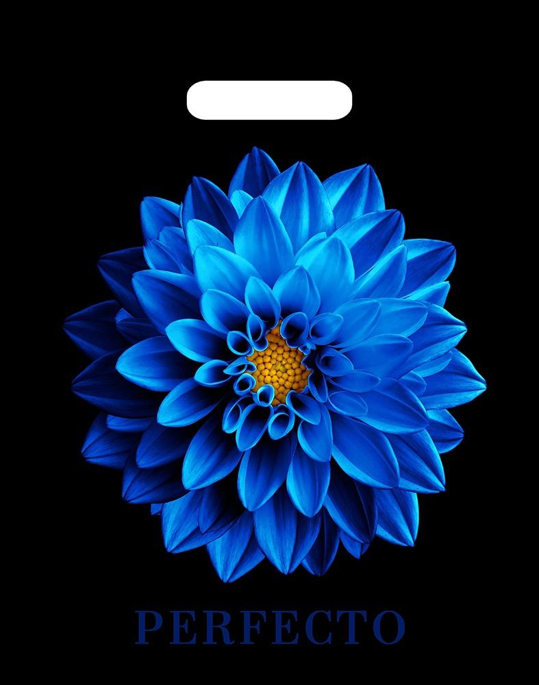 F7GrwhppurI.jpg F7GrwhppurI.jpg