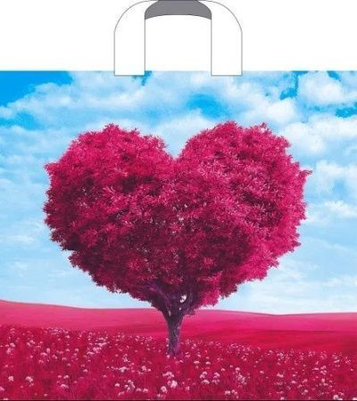 пакет петл.38х34 В облаках *