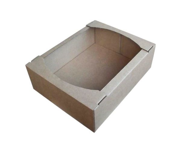 коробка-лоток 230х160х50 бур/100 *