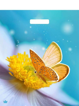 пакеты выр.38х45 Мгновения